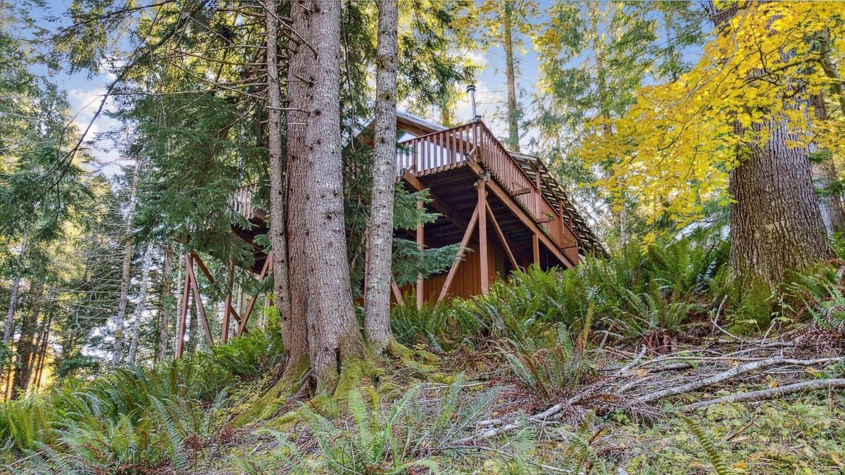 Ashford Cabin | Chalet At Rainier Lodge 3 Bedroom Cabin
