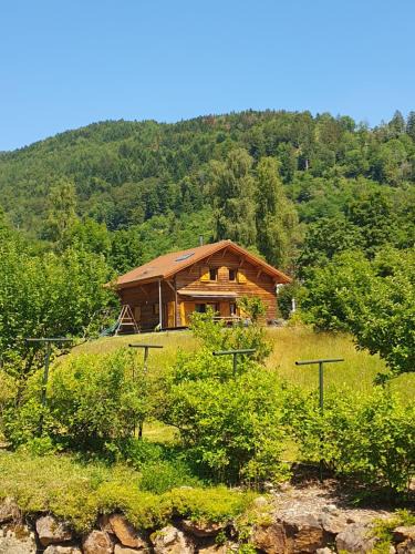 Saint-Maurice-sur-Moselle Ski Chalet | CHALET DES CHARBONNIERS AVEC ETANG - 5 chambres -