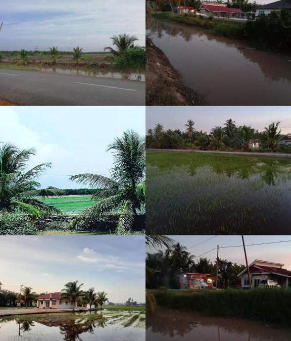 Sabak Bernam District Ski Chalet | Chalet D'sawah private pool