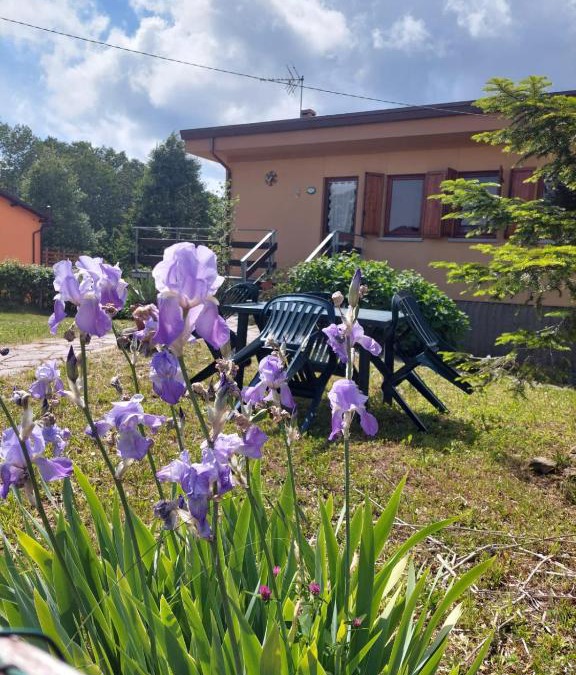 Villa Bascilica House | Chalet Grazia