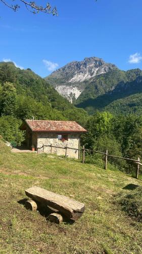 Pertica Bassa Ski Chalet | Chalet il Nocciolo