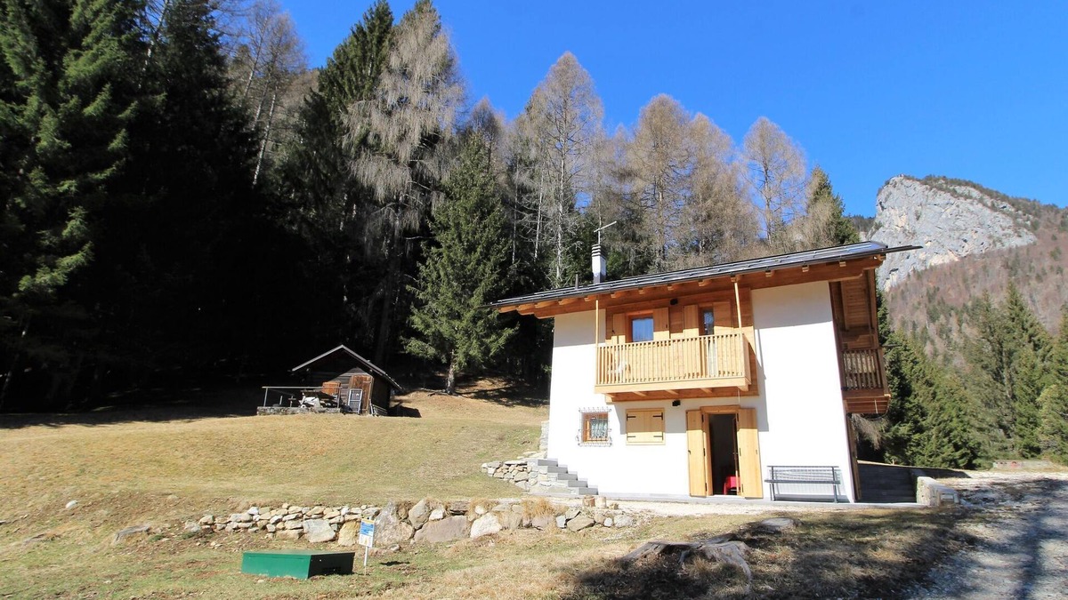 Lozzo di Cadore House | Chalet in Auronzo near Dolomites & Lake