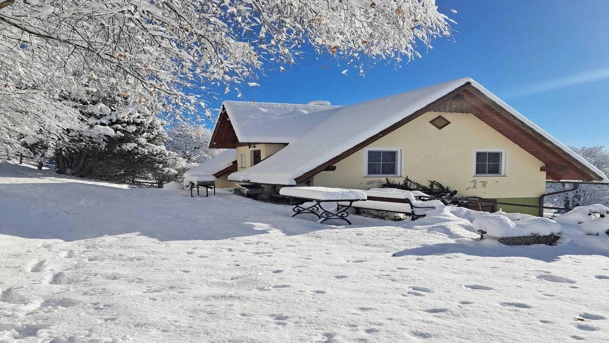 Untergreutschach House | Chalet in Sankt Andrä near Koralpe Ski Area