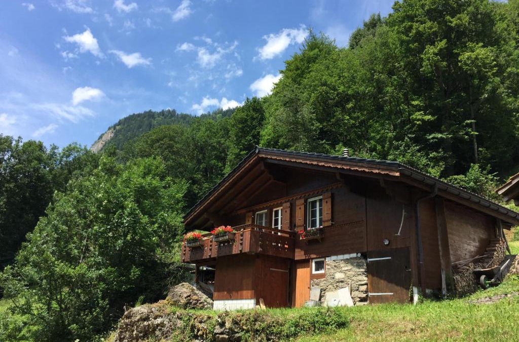 Burglauenen Ski Chalet | Chalet Julian