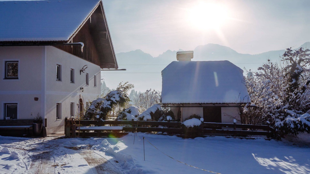 Adnet House | Chalet Wiesengut Romantic secluded location with pool and whirlpool