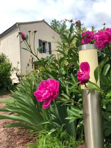 Les Herbiers House | Chambre d´hôtes La Jonchère