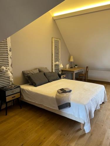 Saint-Pryve-Saint-Mesmin Bed & Breakfast | Chambre Solognote