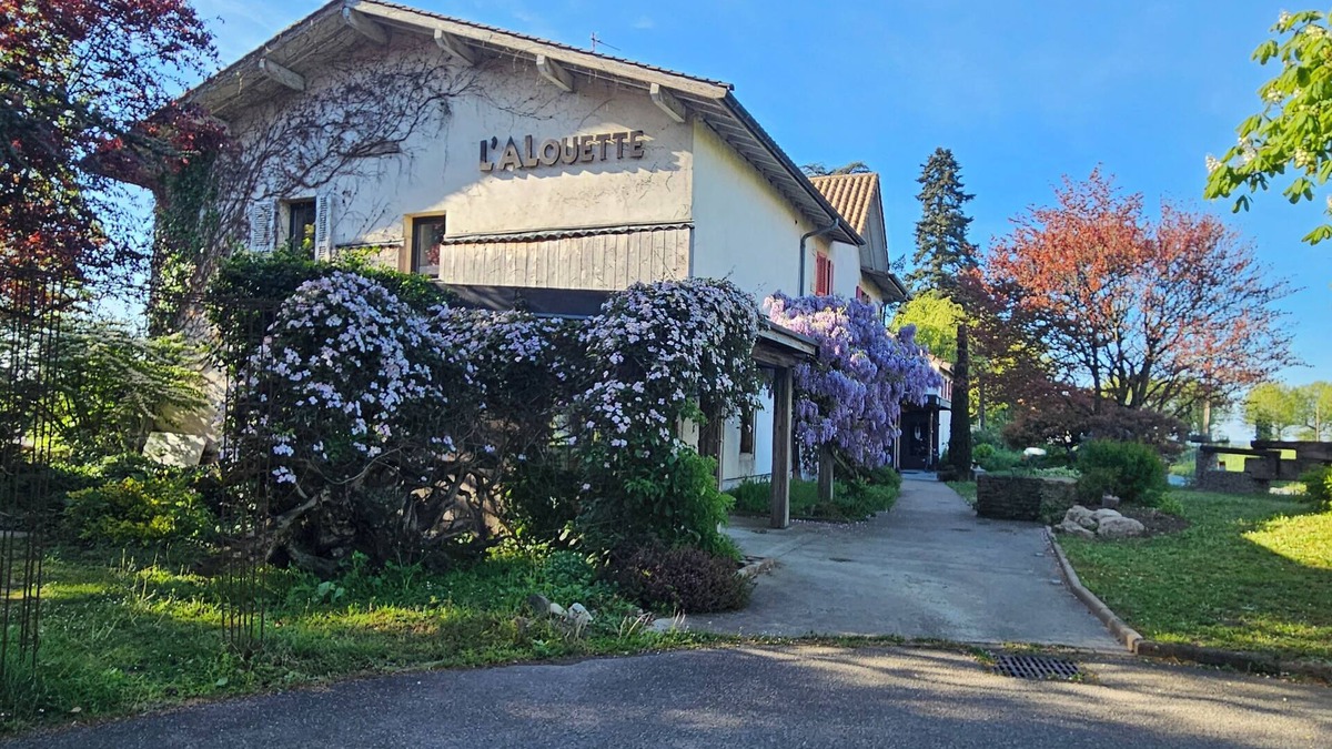 Bonnefamille Bed & Breakfast | Chambre Même pas malle L'Alouette, 20 minutes from the airport.