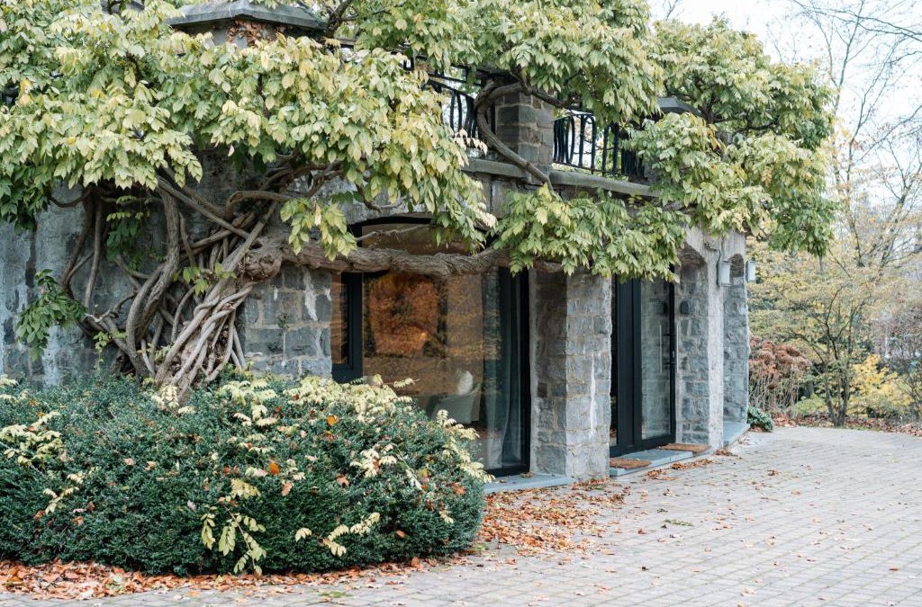 Maubroux Bed & Breakfast | Chambres d'hôtes Eucalyptus et Glycine