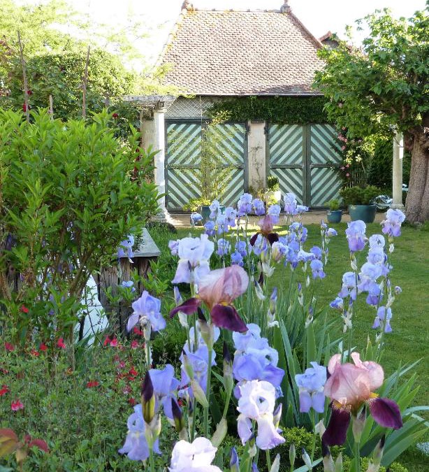 Marcigny Bed & Breakfast | Chambres d'hôtes Les Pergolas