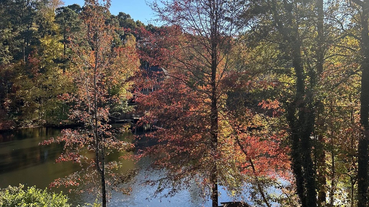 Acworth House | Chandler Retreat - Lakehouse