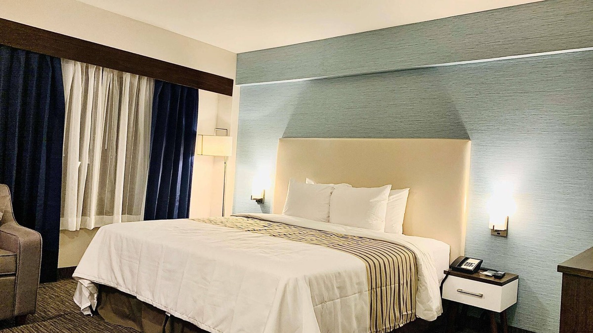 Northeast Mississauga Hotel | Chandni Hotel