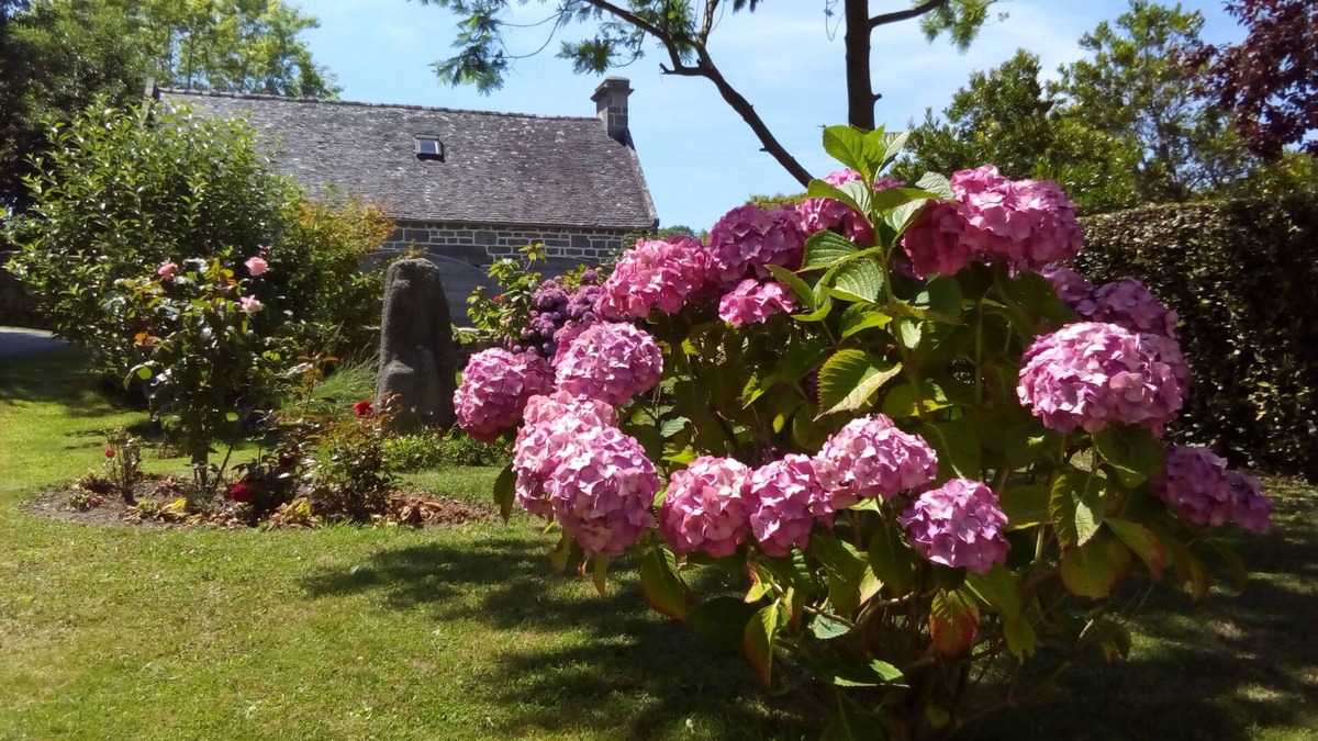Locronan House | character cottage locronan Finistere