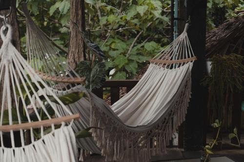 Bukit Lawang House | Charlys little House