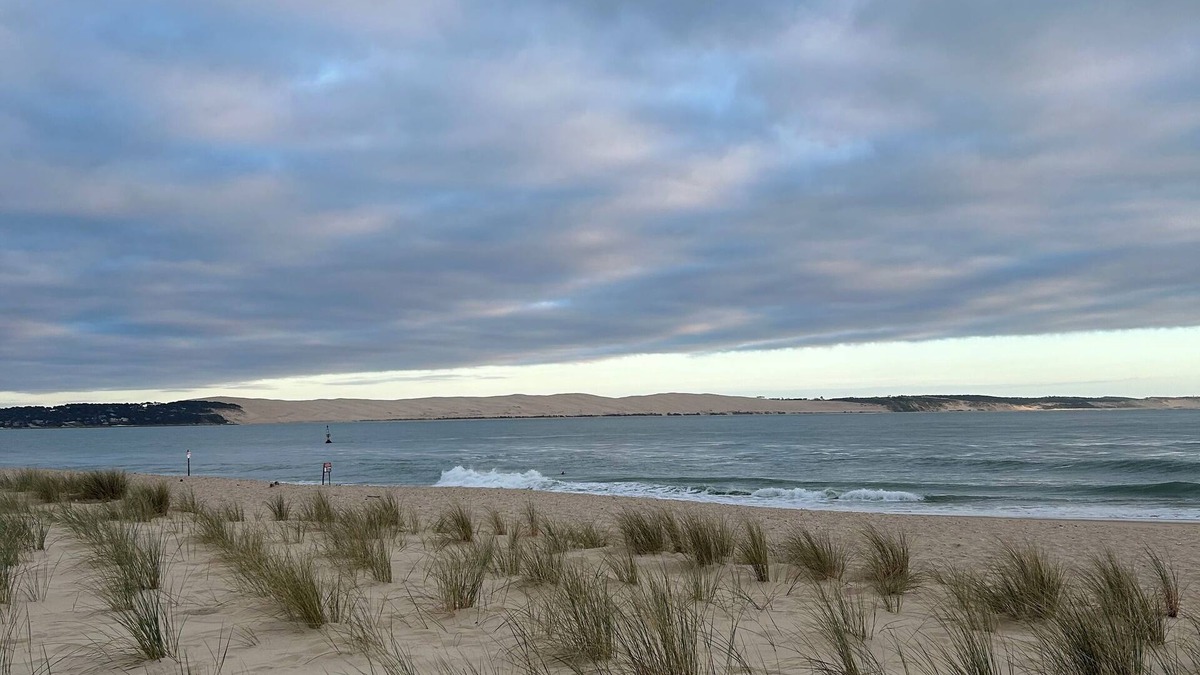 Cap-Ferret Apartment | Charm and wild nature for this apartment with terrace in the middle of the dunes