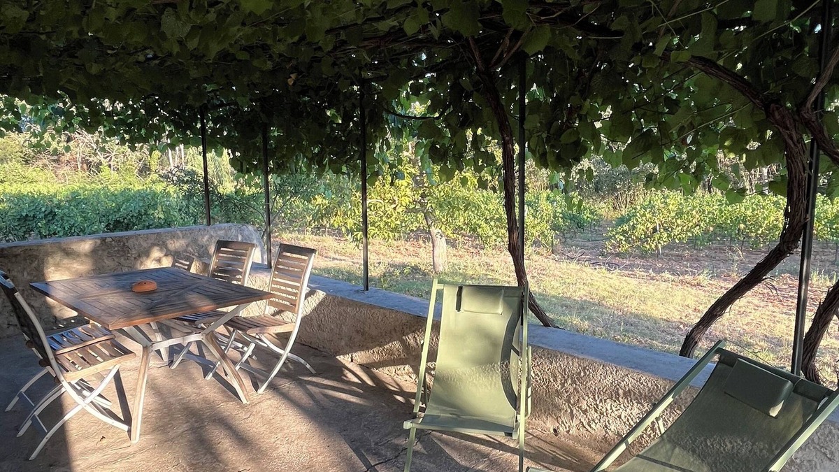 Montfort-sur-Argens House | Charmant Cabanon Provençal