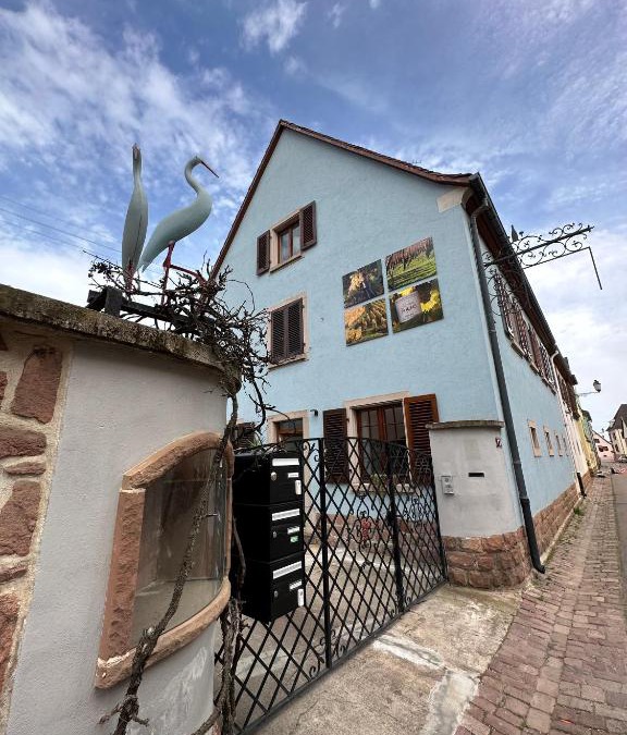 Sigolsheim Apartment | Charmant et chaleureux gîte dans le vignoble