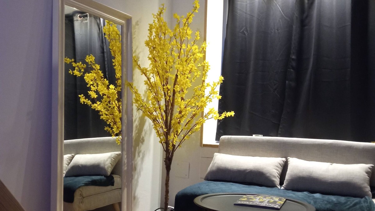 Cherbourg-en-Cotentin Apartment | Charmant Studio Atypique, au Coeur d' une rue Commerçante