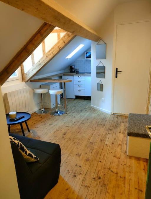 Haie Vigne Apartment | Charmant studio typique & cosy au Cœur de Caen