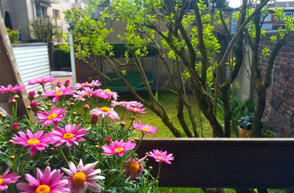 Duissern Apartment | Charmant Wohnen