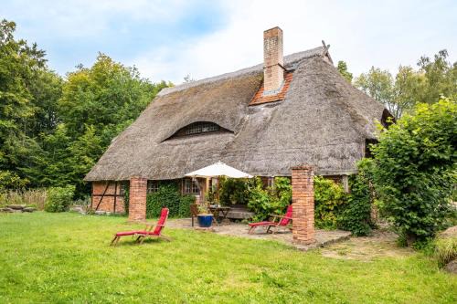 Kalkhorst Apartment | Charmante Wohnung Im Natur-Wald