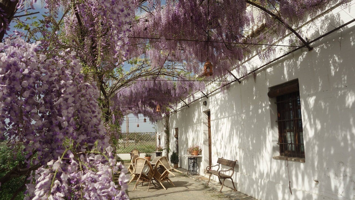 Tozar Cottage | Charming rural house with swimming pool 3 km from the city of Granada. parking