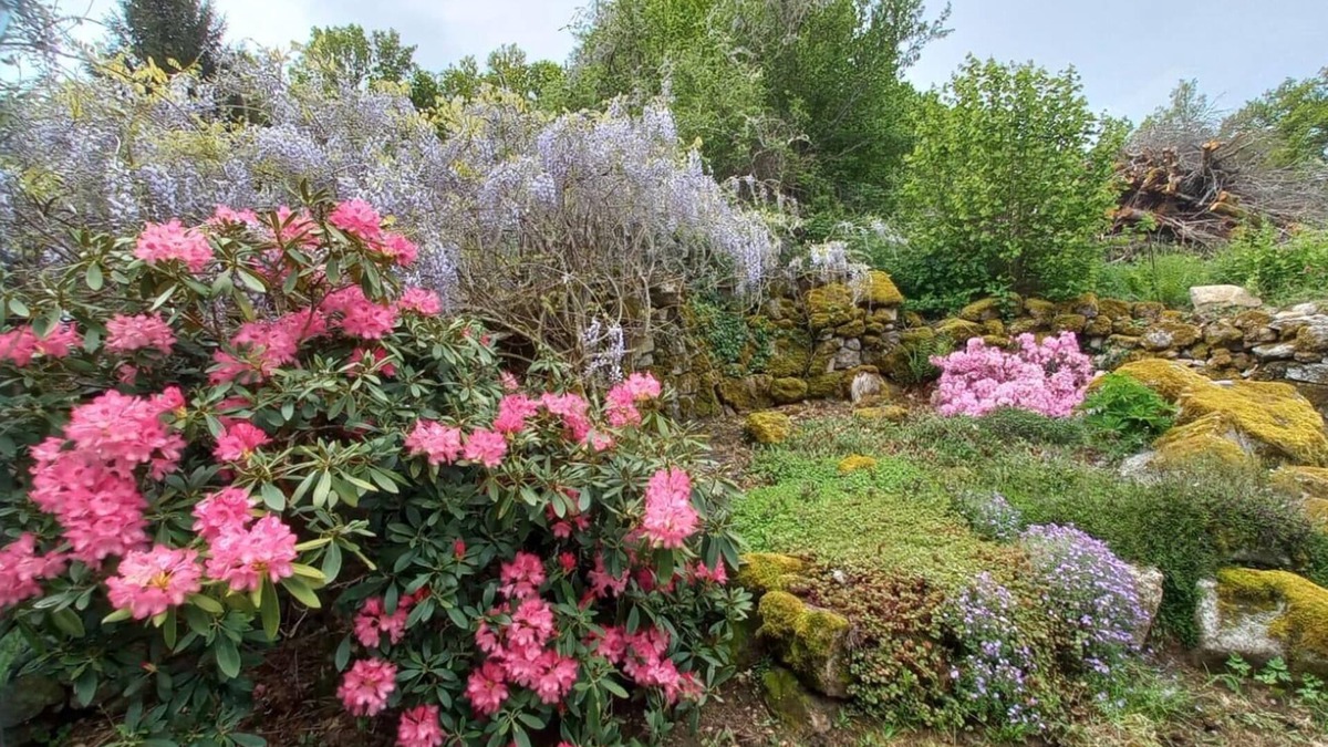 Saint-Agnant-pres-Crocq House | Charming country house near the forest with swimming pool and private garden