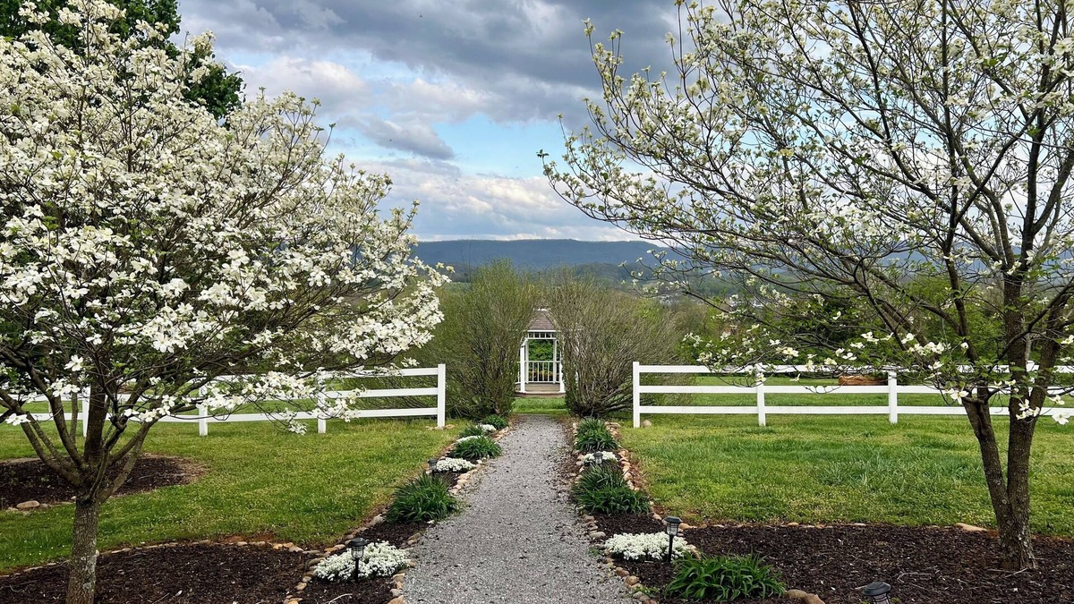 Maryville House | Charming 1-bedroom house with Smoky Mountains view, WiFi and AC in Maryville