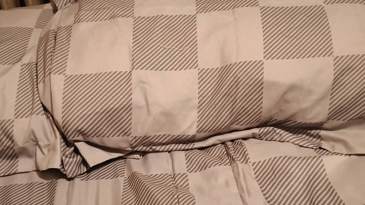 Worcester House | Charming 1-bedroom with WiFi and AC in awesome Worcester