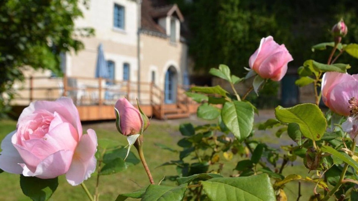 Chambourg-sur-Indre Cottage | Charming 1840 Cottage with Garden, Near Loches & Loire Castles – Family & Pet Friendly