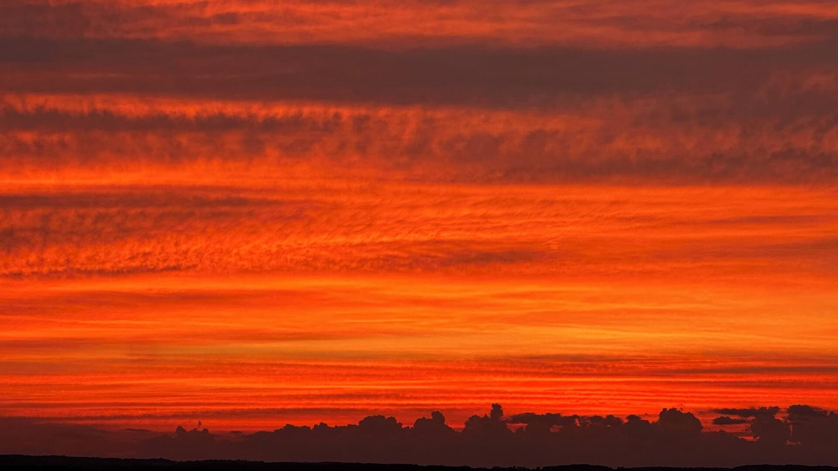 Lamoreaux Landing Cottage | Charming 2-bedroom cottage on serene Seneca Lake! Close to wineries, waterfalls!