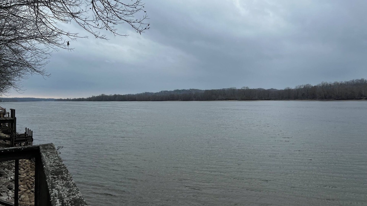 Sugar Tree House | Charming 2-bedroom house on the Tennessee river; peace and quiet