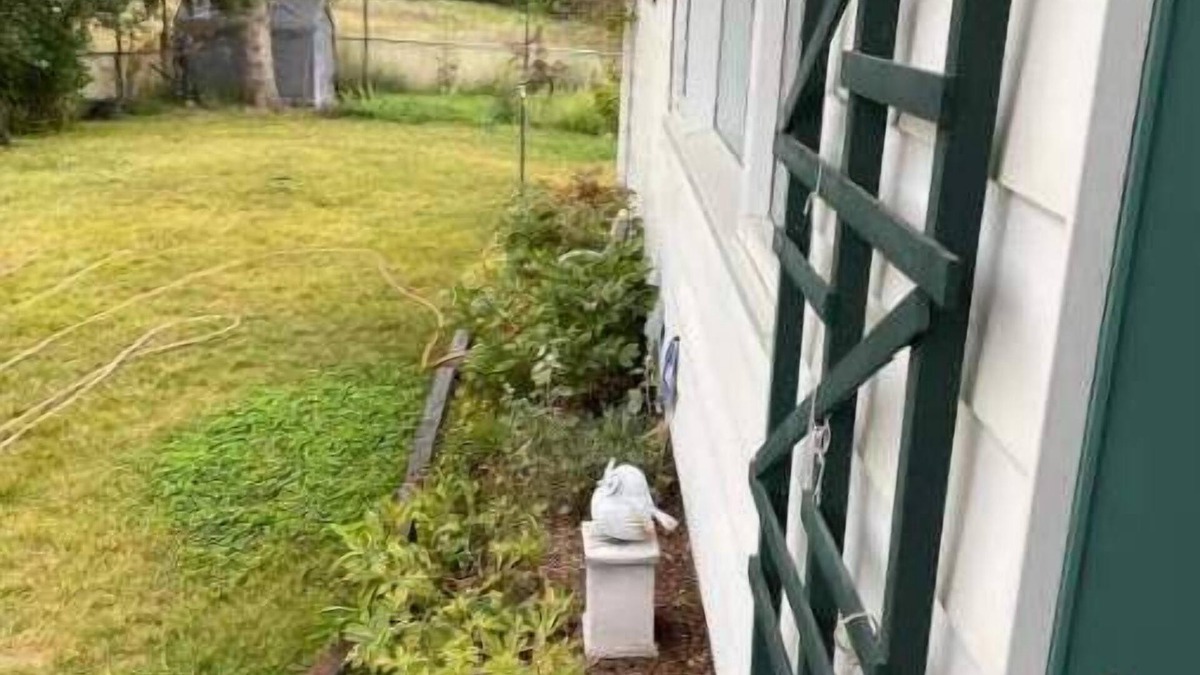 East Kootenay Apartment | Charming 2 bedroom home.🏔