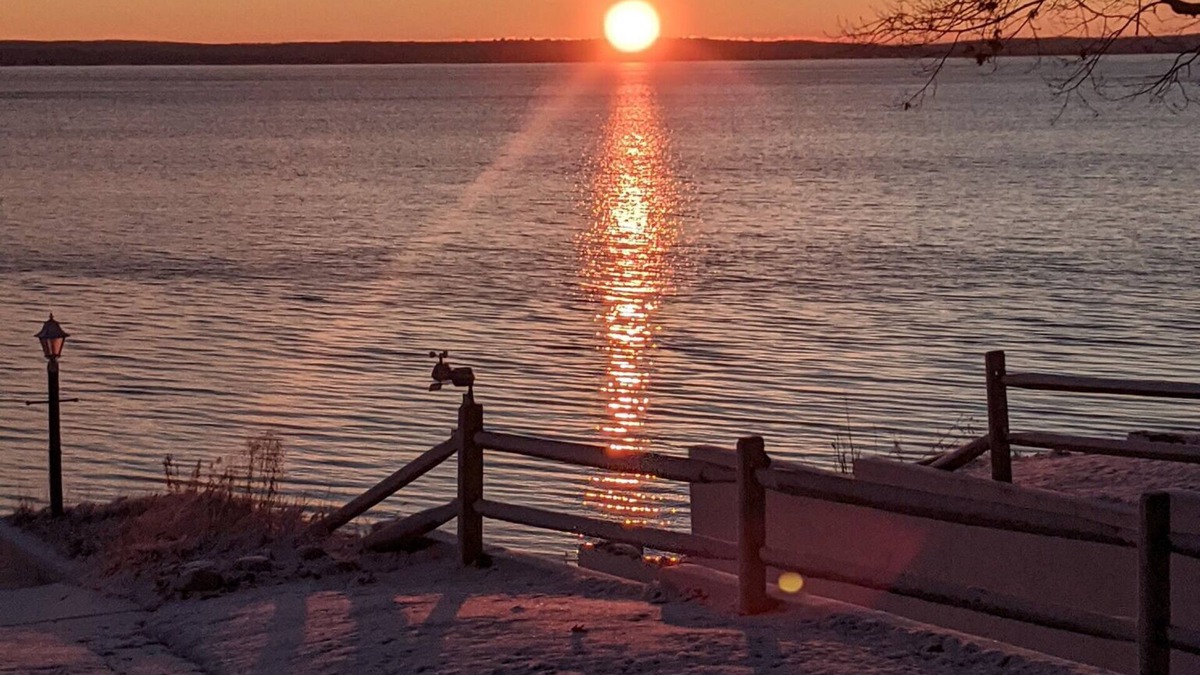 Herron Cabin | Charming 2-bedroom cabin sits on 2.5 acres on Hubbard Lake.