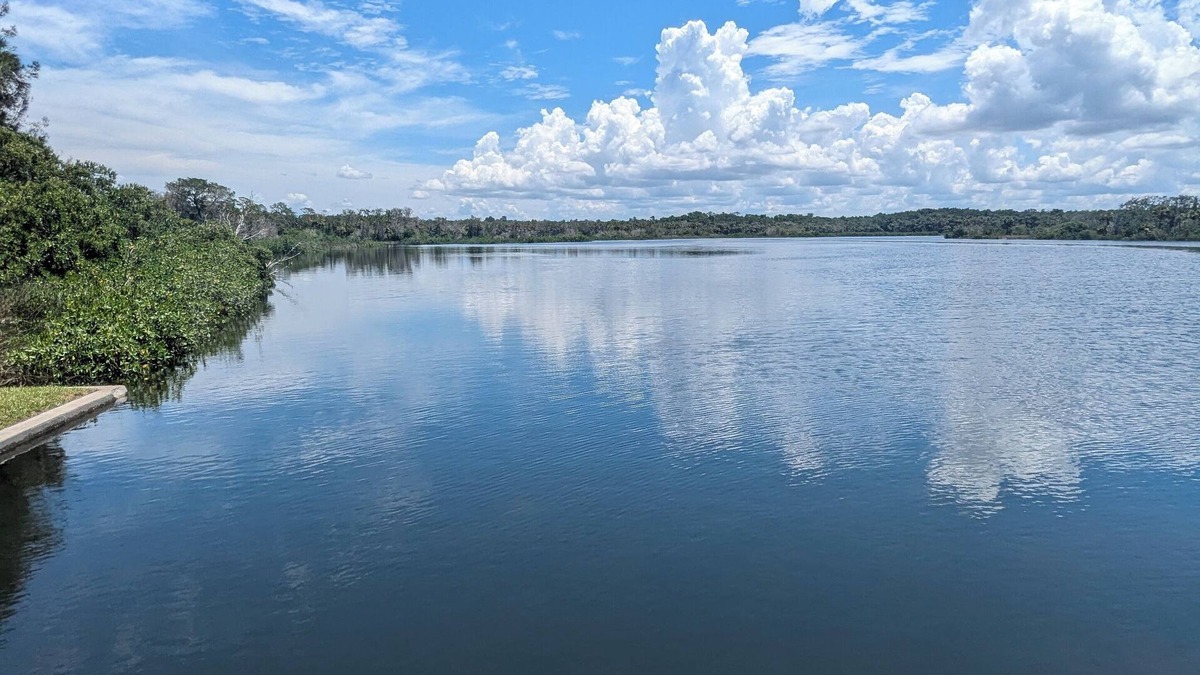 Aripeka Cottage | Charming 2-bedroom waterfront oasis in delightful Spring Hill