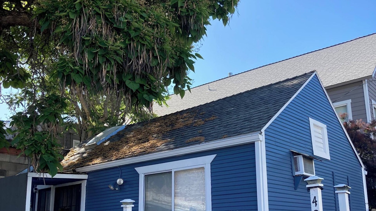 Weaverville Cottage | Charming 2-bedroom cottage in lovely downtown Weaverville with WiFi, AC