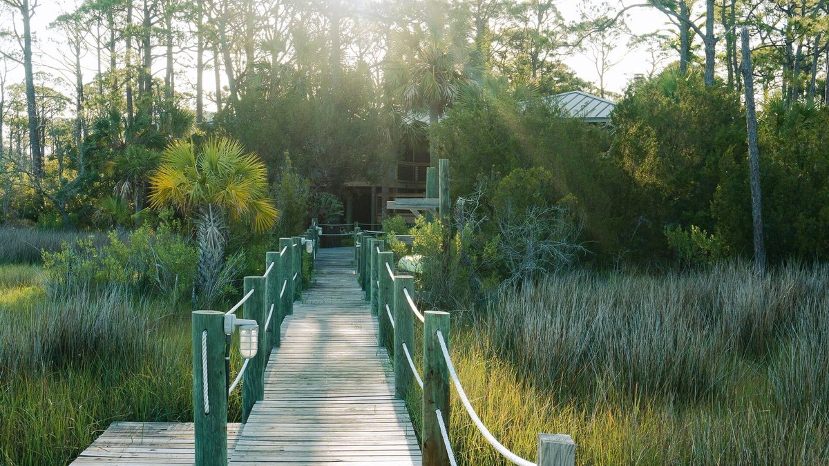 Plantation House | Charming 2-bedroom Tree House in fantastic Saint George Island