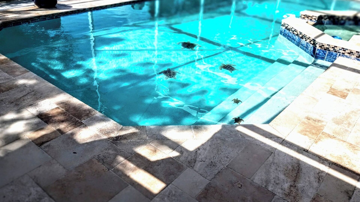 Goldenrod House | Charming 3-bedroom house with WiFi, AC in Winter Park