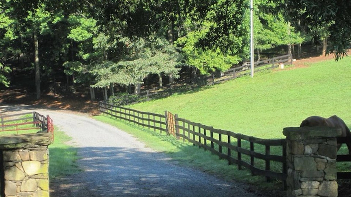 Charlottesville House | Charming 4 BR, 4 BA on Mechums River 15 Minutes to Charlottesville