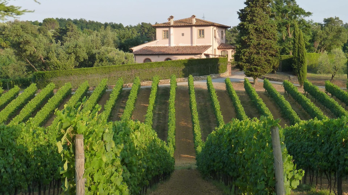 Crespina Other | Charming and comfortable apartment in organic winery