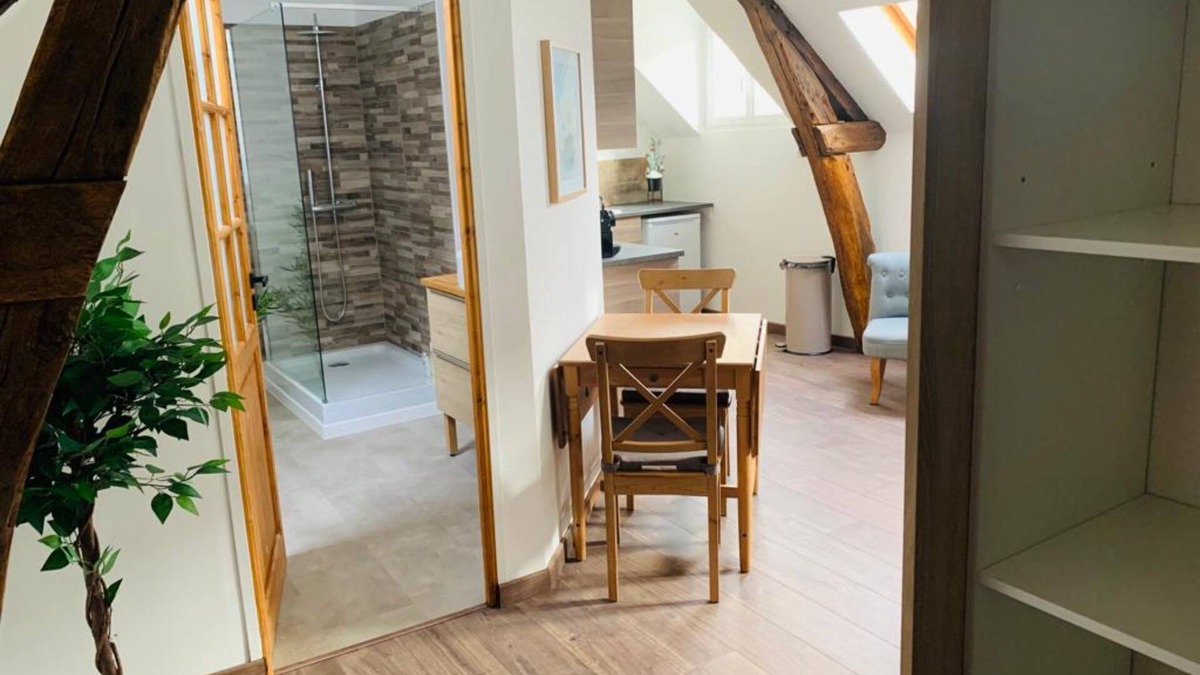 Quartier du chateau Apartment | Charming apartment, beams, historic center