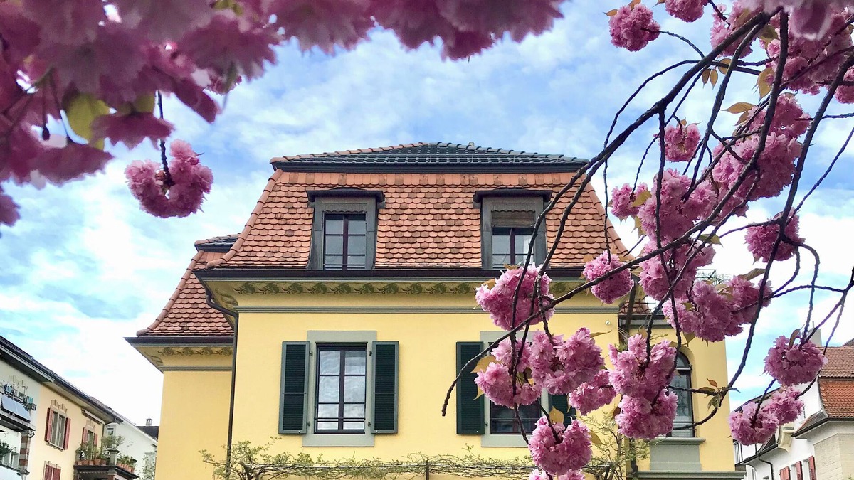 Breitenrain-Lorraine Apartment | Charming apartment in an art nouveau building in Bern