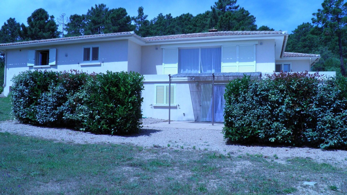 Lecci Apartment | Charming apartment in peaceful villa near Porto-Vecchio