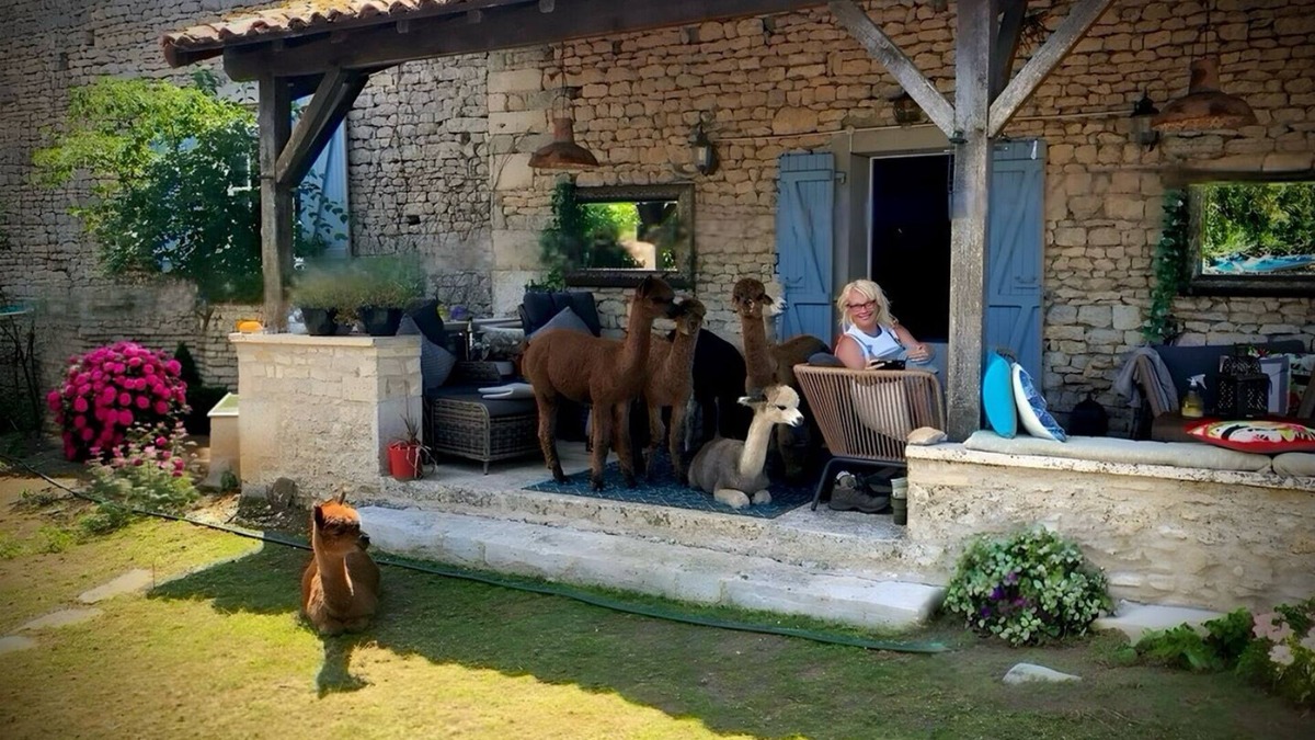 Limalonges Bed & Breakfast | Charming bed & breakfast on an Alpaca Farm in the historic Limalonges Village