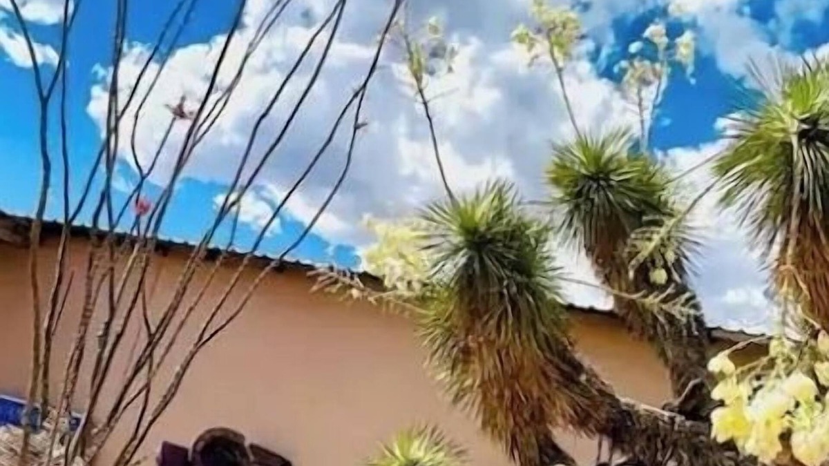 Van Horn House | Charming bungalow with WiFi and AC in welcoming Van Horn
