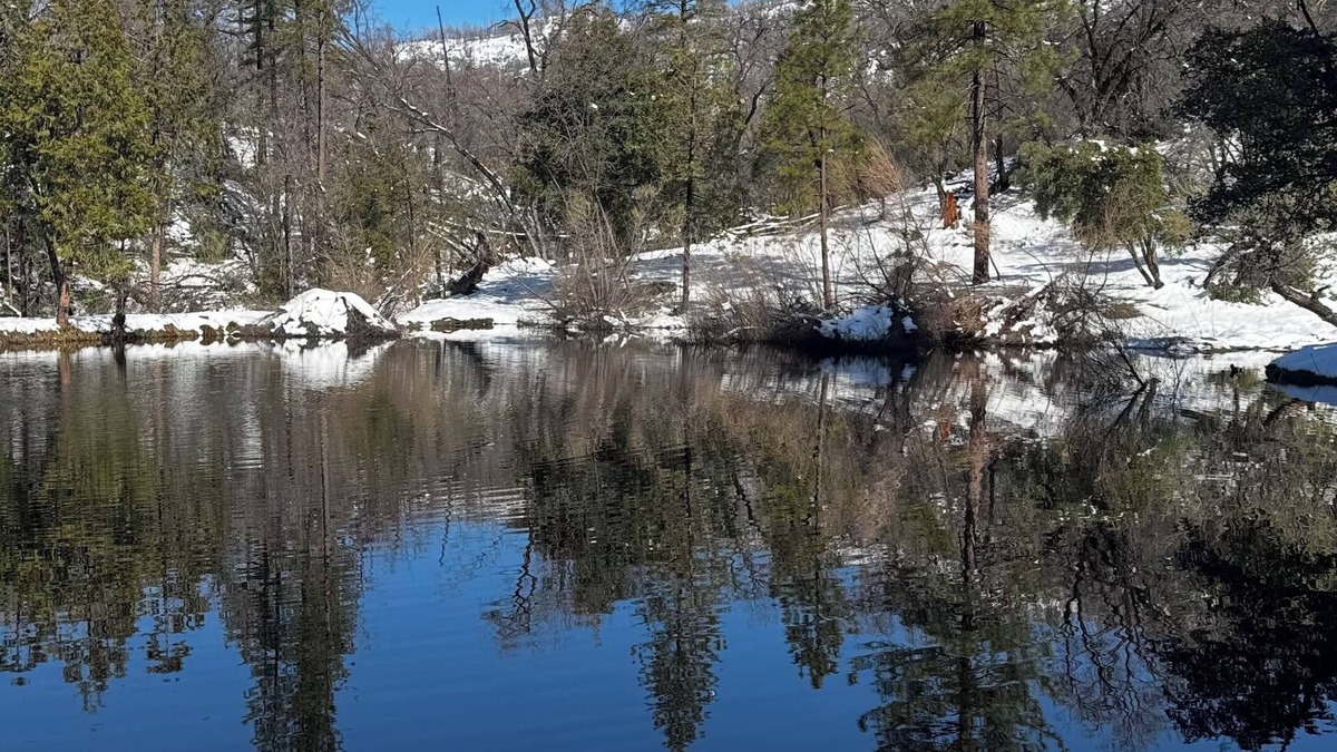 Auberry Cabin | Charming cabin in pleasant Auberry close to Shaver Lake. A hidden treasure!
