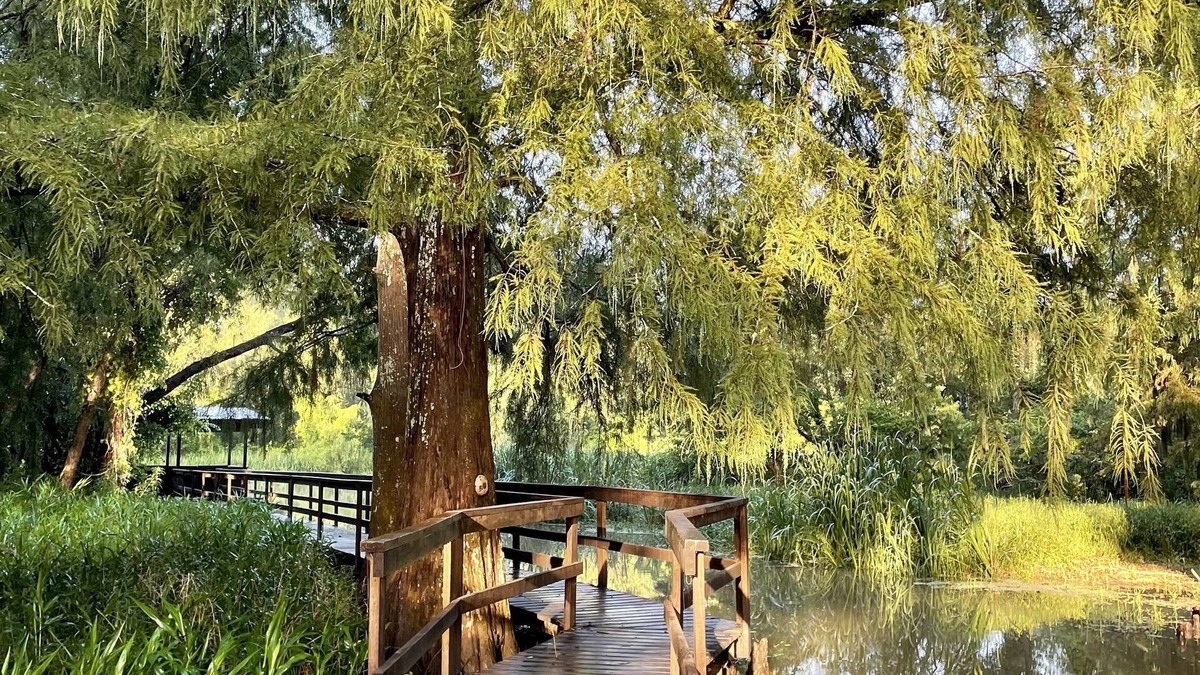 Plaquemine Cabin | Charming cabin on Lower Grand River — Bayou Pigeon, Louisiana
