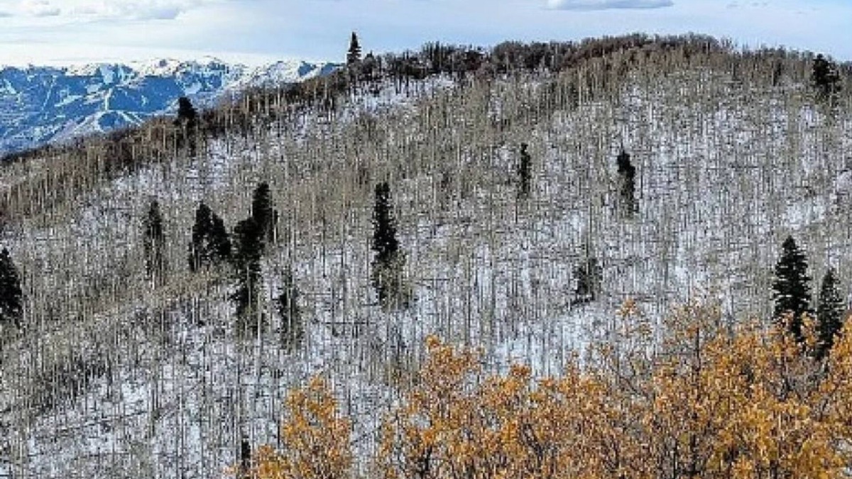 Stagecoach Estates RV Rental | Charming campground with tent in Park City for a cozy getaway