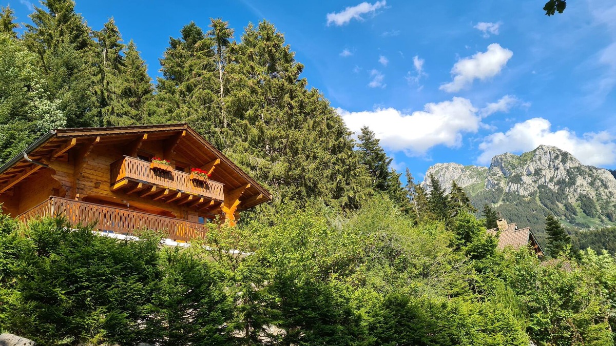 Bernex Ski Chalet | Charming Chalet In The Alps, Close To Lake Geneva