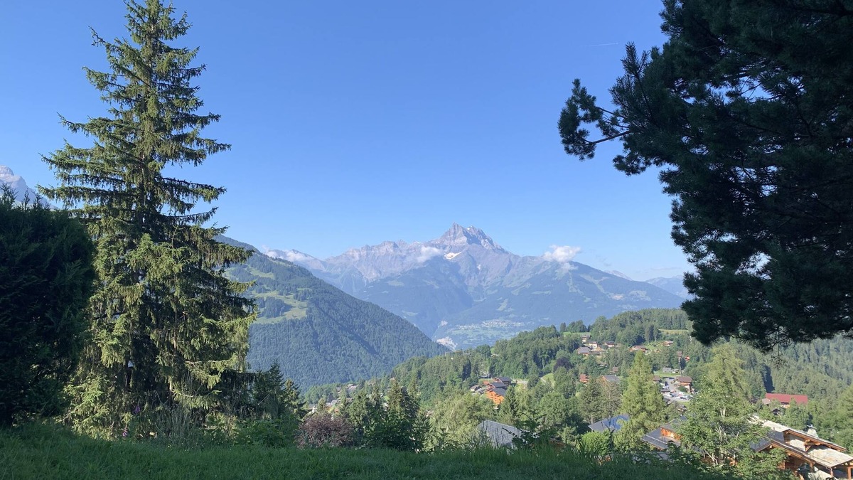 Barboleusaz Ski Chalet | Charming chalet on the slopes!